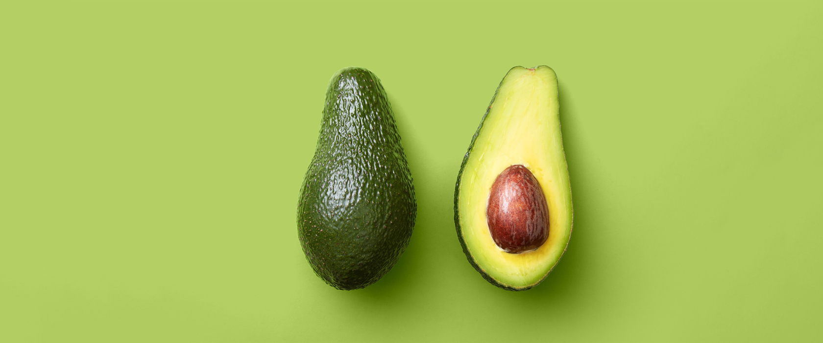 Growing Avocado from a Pit – Myth or Reality?